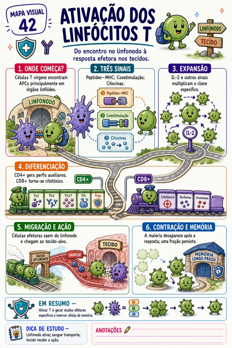 Mapa visual de imunologia — página 7