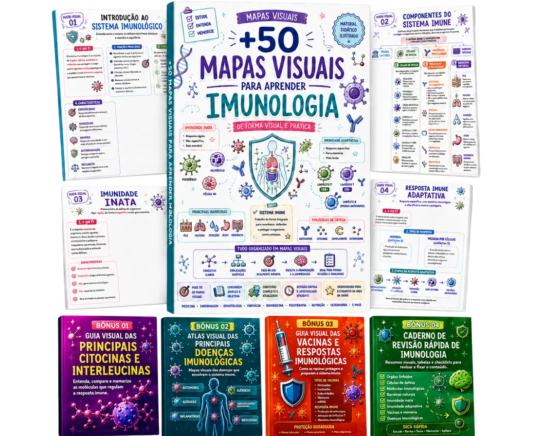 Plano Completo — material principal e 4 bônus